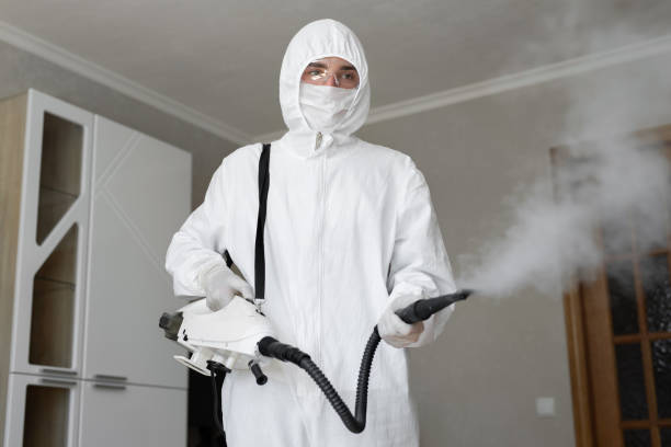 Trusted Frazier Park, CA Mold Removal & Remediation Experts